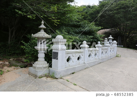 夏 安東 自然 68552385