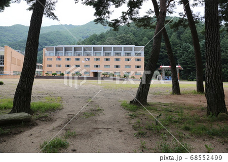 風景 松 屋外 68552499