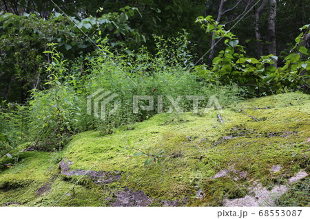 風景 スポット 自然 68553087