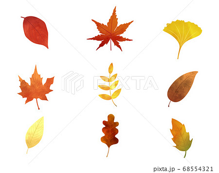 水彩 秋の葉っぱ イラスト素材のイラスト素材