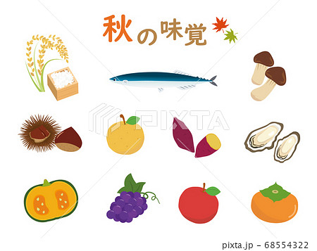 秋の味覚 食べ物のイラストのイラスト素材