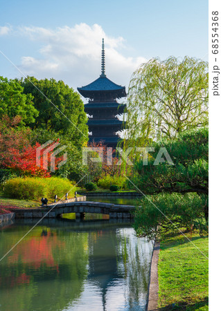 京都　東寺の紅葉　　 68554368