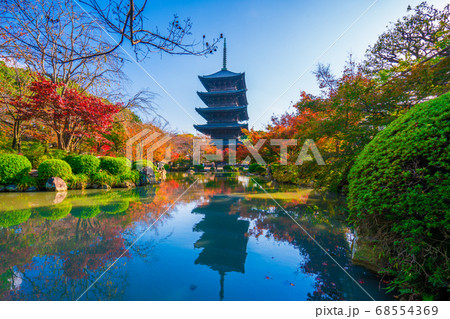 京都　東寺の紅葉　　 68554369