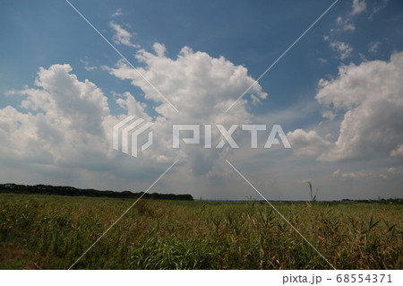 晴れた日に茨城県の空を見上げた 68554371