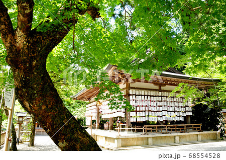 丹生川上神社中社 68554528