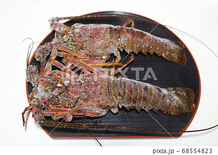冷凍輸送された伊勢海老 68554823