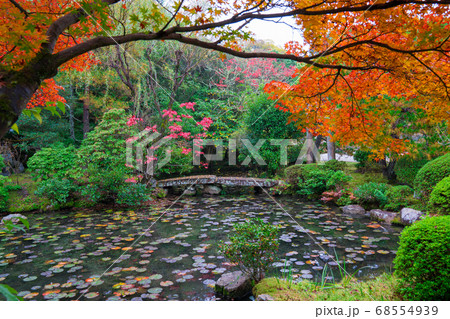 京都　金地院の紅葉 68554939