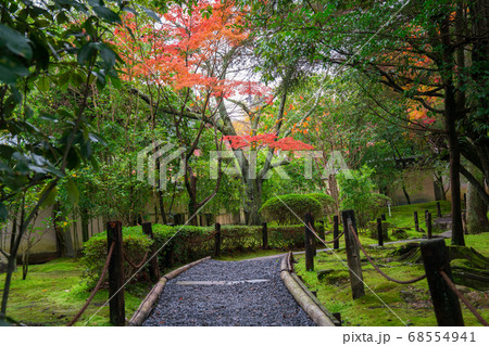 京都　金地院の紅葉 68554941