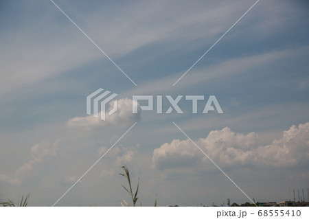 晴れた日に茨城県の空を見上げたの写真素材