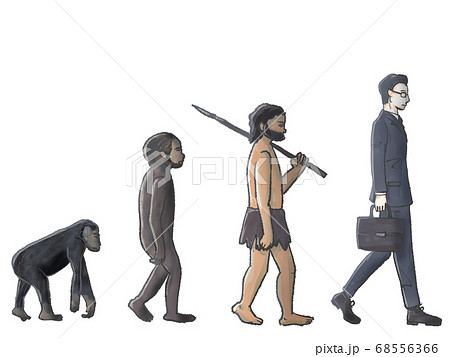 いろいろ 人類の進化 画像 6177 人類の進化 画像