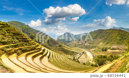 Terraced rice field in Sapa 68556441