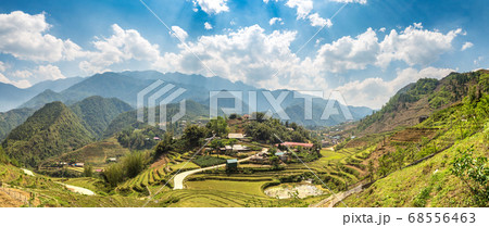 Terraced rice field in Sapa Terraced rice field in Sapa 68556463