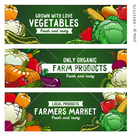 Vegetables vector banners, farm food, raw veggies Vegetables vector banners, farm food, raw veggies 68557579
