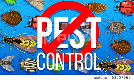 Pest control disinsection service vector poster Pest control disinsection service vector poster 68557665