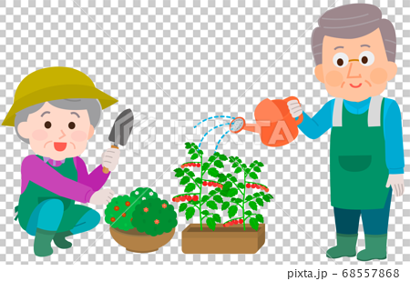 家庭菜園 ガーデニングをする高齢男女 イラストのイラスト素材