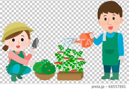 家庭菜園 ガーデニングをする男女 イラストのイラスト素材