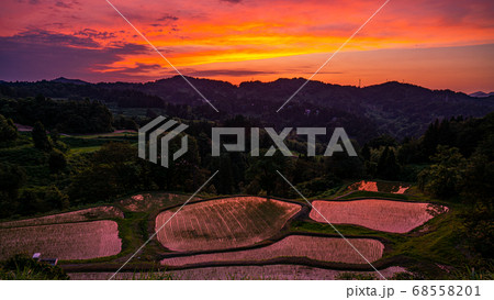 越後十日町の棚田　儀明の夕景 68558201