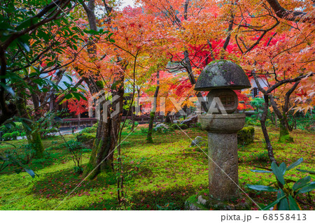 京都 圓光寺の紅葉 京都 圓光寺の紅葉 68558413