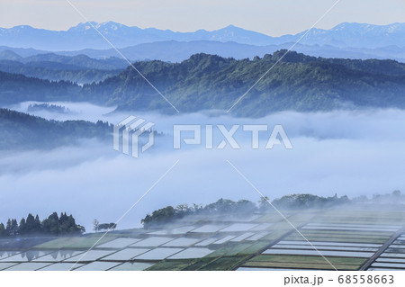 新潟県小千谷市 山本山から見る、霧の湧く信濃川・水が張られた田植え期の田んぼ・山並み 新潟県小千谷市 山本山から見る、霧の湧く信濃川・水が張られた田植え期の田んぼ・山並み 68558663