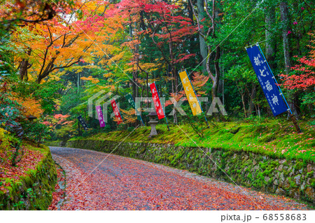京都 赤山禅院の紅葉の写真素材