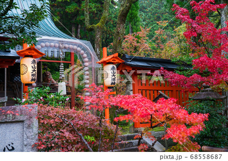 京都 赤山禅院の紅葉の写真素材