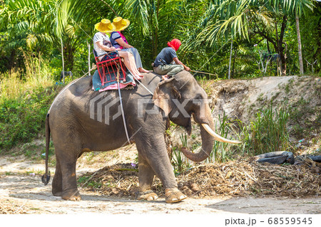 Tourists riding elephant in Thailand 68559545