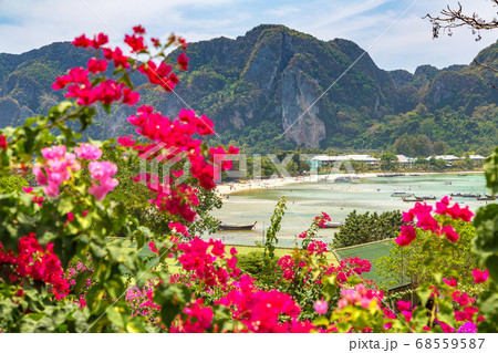 Phi Phi Don island, Thailand 68559587