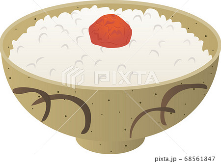 梅干しと炊きたてご飯 68561847