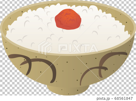 梅干しと炊きたてご飯 68561847