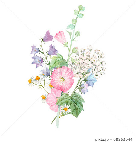 Beautiful floral bouquet with watercolor summer flowers. Stock illustration. 68563044