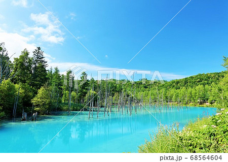 北海道 夏の青空と青い池 北海道 夏の青空と青い池 68564604