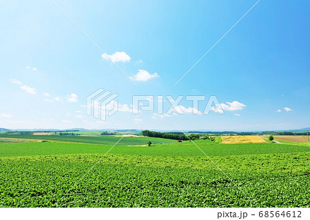 北海道　夏の青空と広い大地 68564612