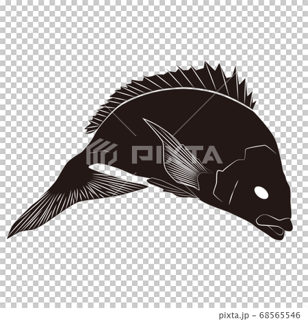 鯛 イラスト 飛び跳ねるのイラスト素材 68565546 Pixta