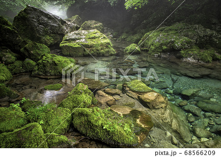 山県市 川霧の円原川 山県市 川霧の円原川 68566209