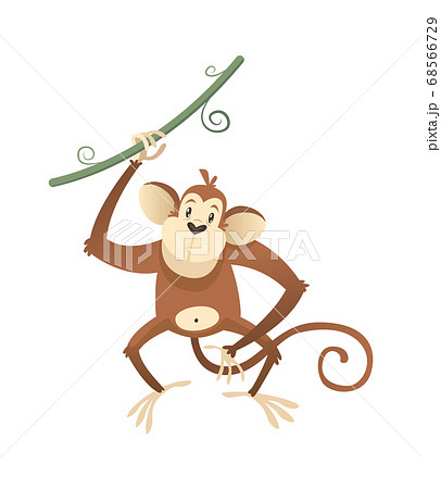Jungle wild monkey. Colorful safari, circus or zoo cartoon animal ape, wildlife trendy exotic childish print, african fauna. Vector single isolated illustration 68566729