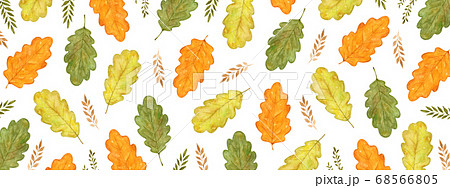 秋の葉っぱ　水彩イラスト  背景 68566805