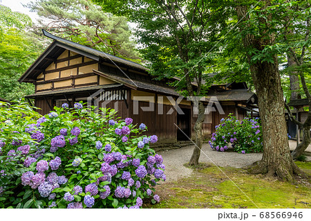初夏の角館 68566946