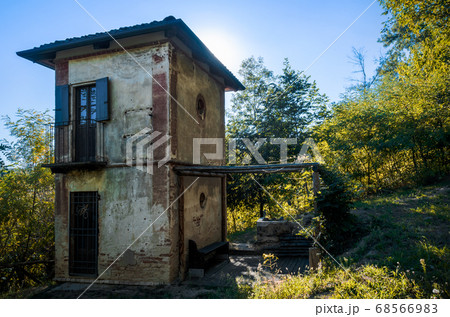 Abandoned toolshed in the vineyards 68566983