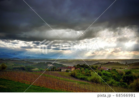 Alba, vineyards of the Langhe 68566991
