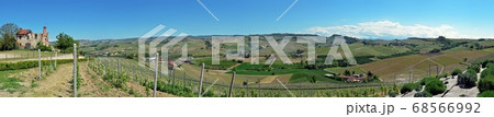 Alba, vineyards of the Langhe Alba, vineyards of the Langhe 68566992