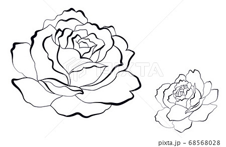 シンプルなバラの花のイラスト素材