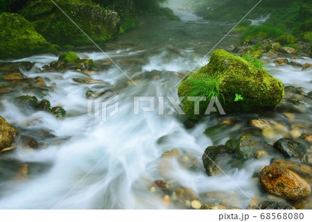 山県市 川霧の円原川 山県市 川霧の円原川 68568080