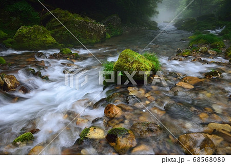 山県市 川霧の円原川 山県市 川霧の円原川 68568089