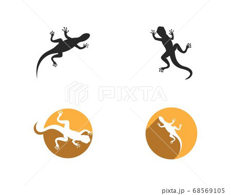 Gecko logo vector 68569105