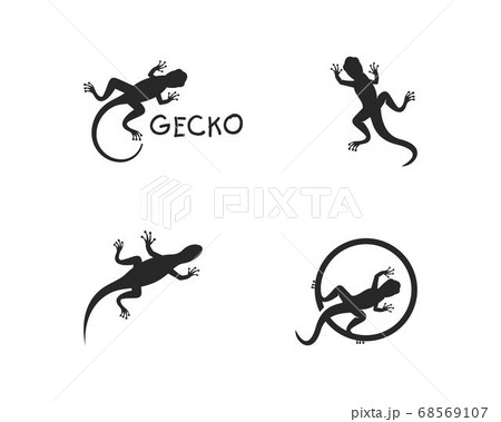 Gecko logo vector 68569107