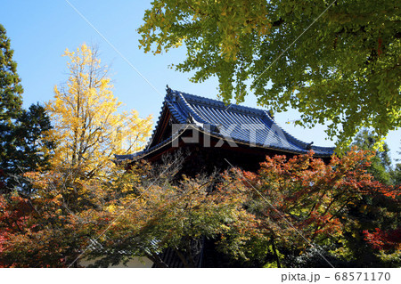 岐阜虎渓山永保寺の紅葉風景 68571170