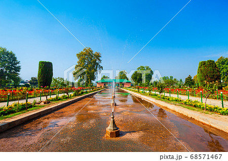 Garden in Srinagar city, India 68571467