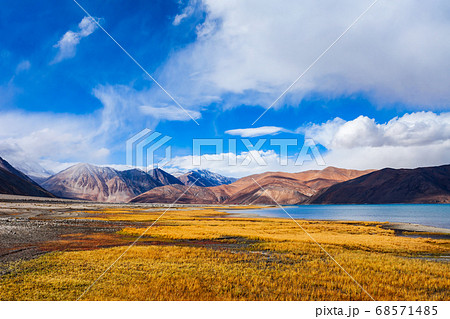Pangong Tso Lake in Ladakh, India 68571485