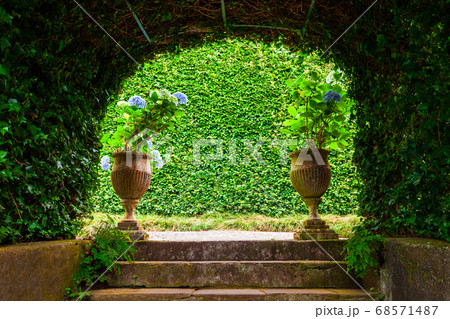 Monte Palace Tropical Garden in Madeira 68571487