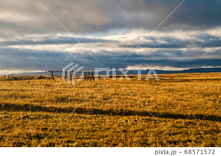 Grass field in reykjavik, iceland. Autumn Grass field in reykjavik, iceland. Autumn 68571572